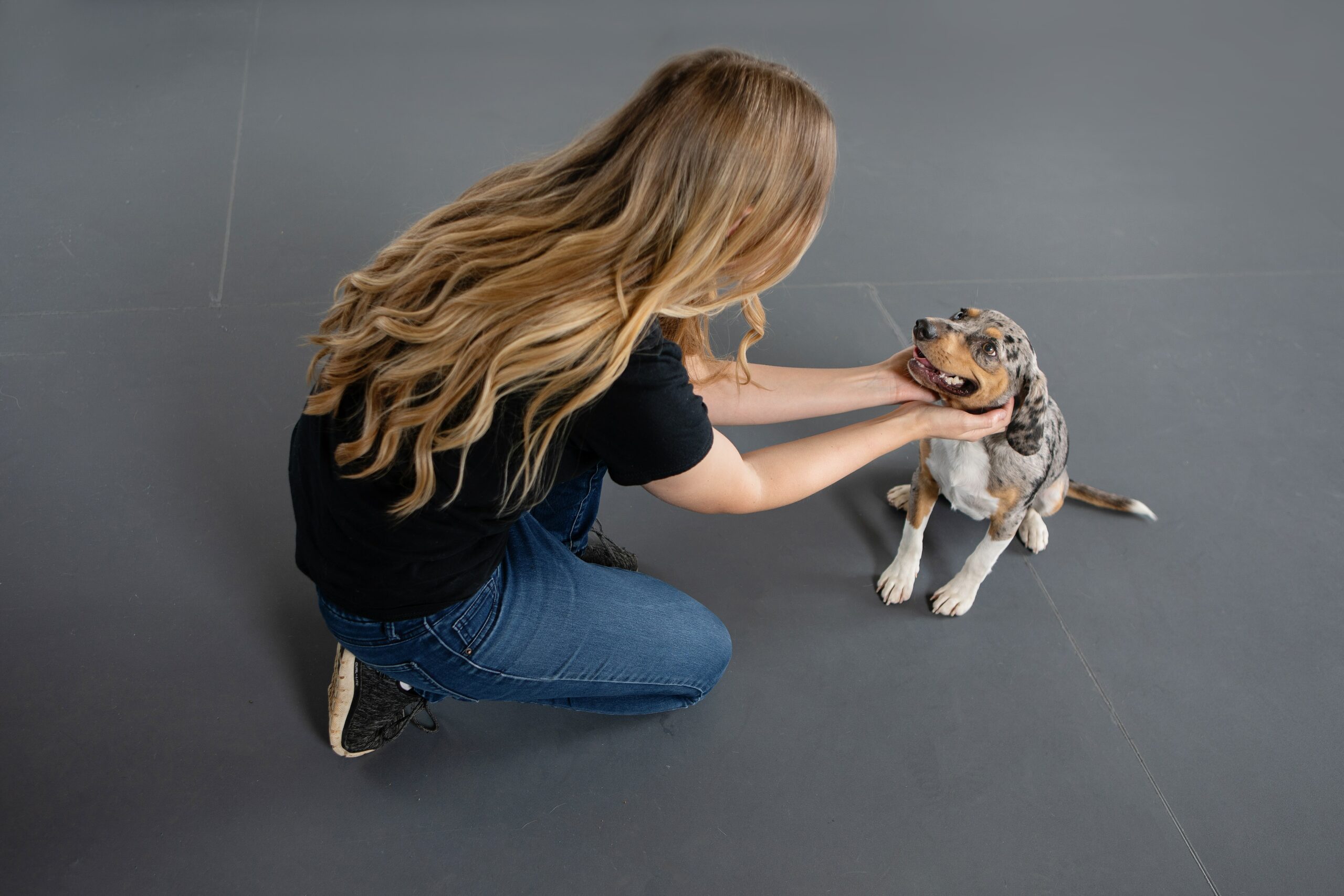 petsmart puppy kindergarten