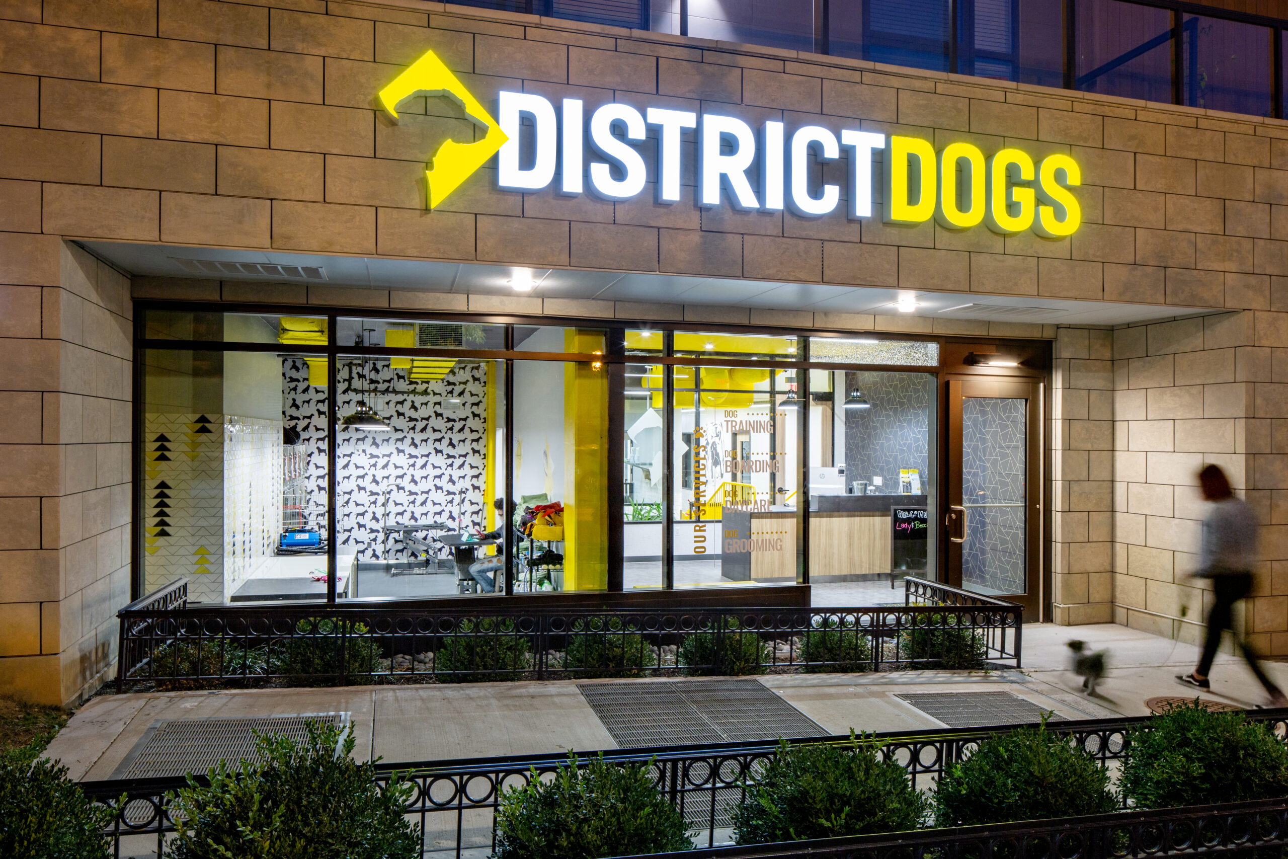 District Dogs Shaw