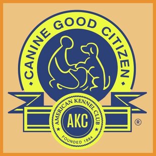Canine Good Citizen Class - Navy Yard - District Dog Training